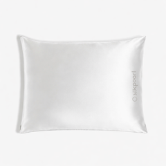 Zipper Silk Pillowcase